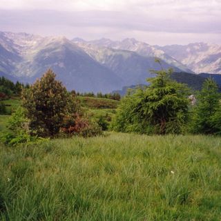 La Comunità Montana Valli Grana e Maira a sostegno delle attività delle squadre forestali regionali