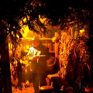 Lo spettacolo del "Natale in Contrada" (Foto Grazie Musella)