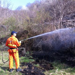 Immagine di repertorio