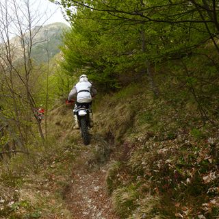 foto tratta da http://www.ballabionews.co