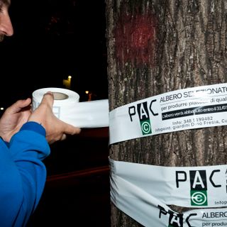 I ragazzi del gruppo Alimen(e)azione intenti ad "allestire l'opera", copyright Aliment(e)azione