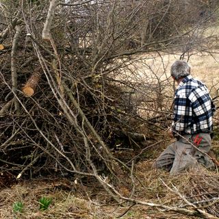 Da febbraio a Fossano sarà riattivata la raccolta del verde a domicilio