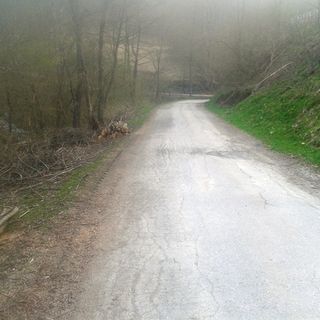 Monterosso Grana, giù le piante a meno di 3 metri dalla strada Monterosso Grana, giù le piante a meno di 3 metri dalla strada