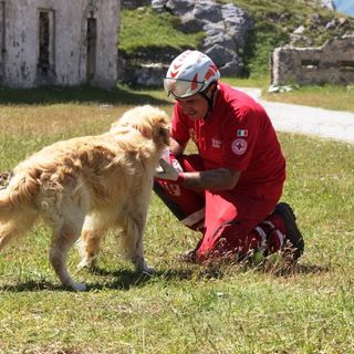 Un'unita cinofila della CRI