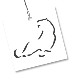 In Piemonte solo un’azienda su tre ha un indebitamento superiore al patrimonio netto: la provincia di Cuneo fanalino di coda