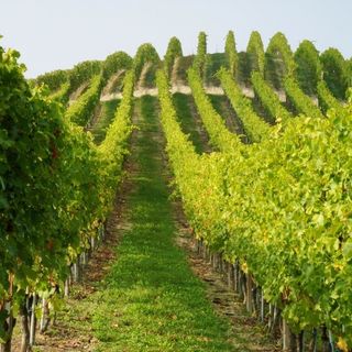 Alba, al via la specializzazione superiore di Tecnico della Promozione Turistica