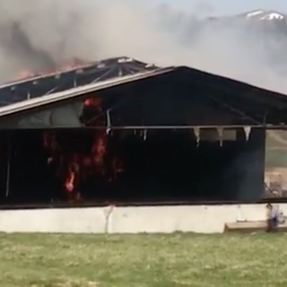 A fuoco un fienile in località Moriglione di Novello, coinvolti degli animali (VIDEO)