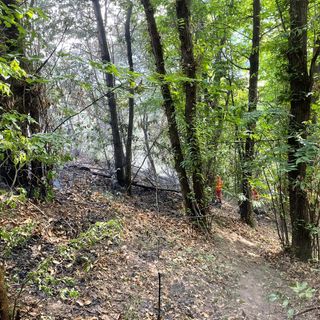 Incendio boschivo verso San Giorgio di Montemale di Cuneo. Salvo il traliccio dell'alta tensione