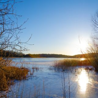 Immagine di repertorio