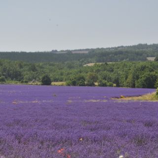 Una precedente gita dell'associazione culturale Camminare in camper di Saluzzo