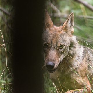 Foto di Gabriele Cristiani