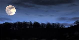 Tactical Warning 2015: l'inizio...