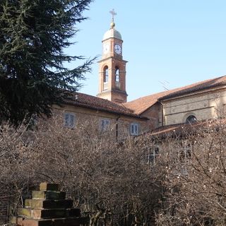 Il pruneto che investe il Santuario antico della Madonna dei Fiori a Bra