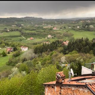 Maltempo, Coldiretti Cuneo lancia l'allarme grandine per i raccolti