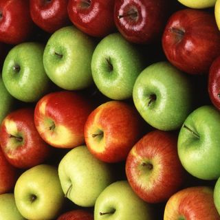 A cena con le antiche varietà di mele del Comizio Agrario di Mondovì A cena con le antiche varietà di mele del Comizio Agrario di Mondovì