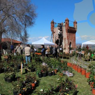 Nel Castello Rosso di Costigliole Saluzzo ritorna “Flora - Intorno alla natura” domenica e lunedì