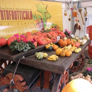 Tutto pronto per l' 86ª Mostra Regionale Ortofrutticola "Città di Cuneo"