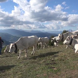Montagna pulita: alla festa della Madonna della neve di Boves si presenta il docufilm di Giovanni Bianco