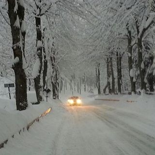 La strada in discesa da Limone Piemonte (foto Sofia)