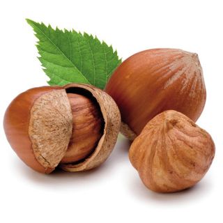 "Denunceremo l'Olanda per lo scippo del nome della nocciola  Tonda e gentile"