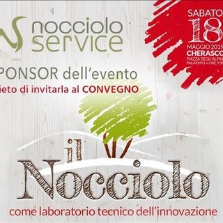 Nocciolo Service: fornitura piante di nocciolo certificate e realizzazione noccioleti “chiavi in mano”