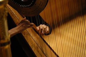 A Fossano il concerto della Masterclass annuale di Arpa di Margherita Bassani