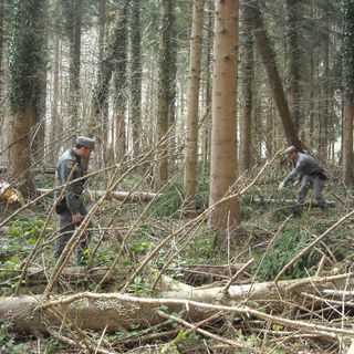 Immagine di repertorio