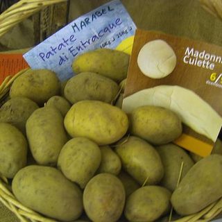 Entracque saluta l'estate con la tradizionale Fiera gastronomica della patata