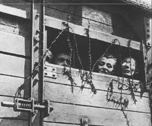 Immagine di repertorio