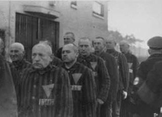 Immagine tratta dalla mostra "Omocausto"