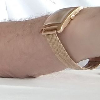 Smarrito orologio d'oro a Cuneo, si offre lauta mancia a chi lo riporta