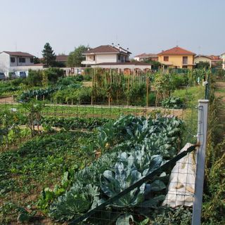 Gli orti urbani braidesi