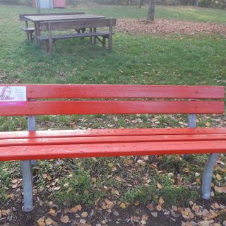 Immagine di repertorio Immagine di repertorio