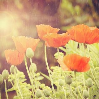 L'estate molla la presa: in arrivo temporali e grandine sulla provincia