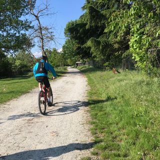 Cuneo pensa al turismo "post-Covid": domani la commissione alla Sala del Turismo