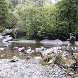 Immagine di repertorio