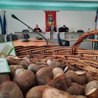 La conferenza stampa della 452^ Fiera Fredda