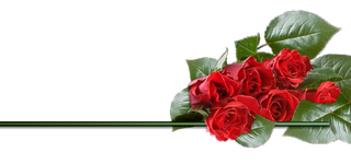 Benedizione delle Rose nella Chiesa di San Giuseppe di Alba