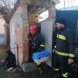 Due gattini salvati a Mondovì dai Vigili del Fuoco