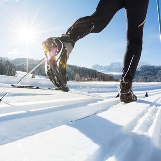 Immagine di repertorio