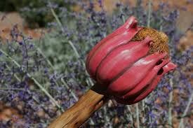 A Sant’Albano sciamanesimo, spiritualità e guarigione