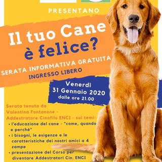 "Imparare a vivere a sei zampe": ad Alba una serata rivolta a tutti i proprietari di cani