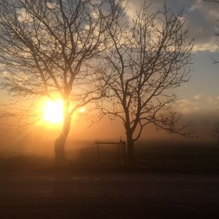 Dopo giornate da brividi, arriva l'anticiclone: sole e temperature oltre i 15 gradi