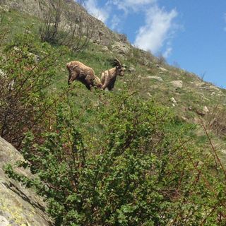 Entracque, lo spettacolo della natura al rifugio Soria Ellena (VIDEO)