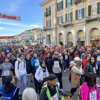 Dalla Mostra Nazionale dei Bovini di Razza Piemontese alla Stracôni: una domenica di sport ed eccellenze gastronomiche in Granda