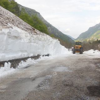 Foto tratta dal sito www.areeprotettealpimarittime.it