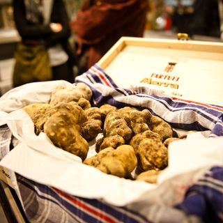 Alba, il Premier Renzi presente all’inaugurazione della Fiera del Tartufo