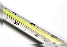 Influenza: il picco massimo è previsto la prossima settimana Influenza: il picco massimo è previsto la prossima settimana