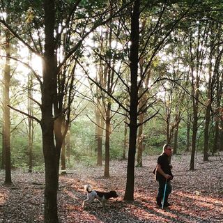 Tartufiamo? Il mondo dei tartufi in un nuovo sito