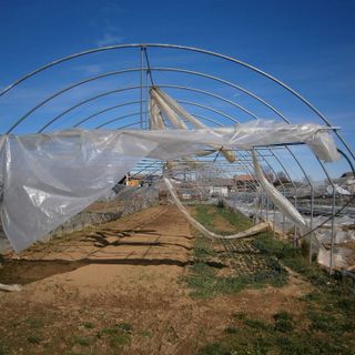 Tromba d'aria nel Cuneese: ingenti danni all'agricoltura ai piedi della Bisalta